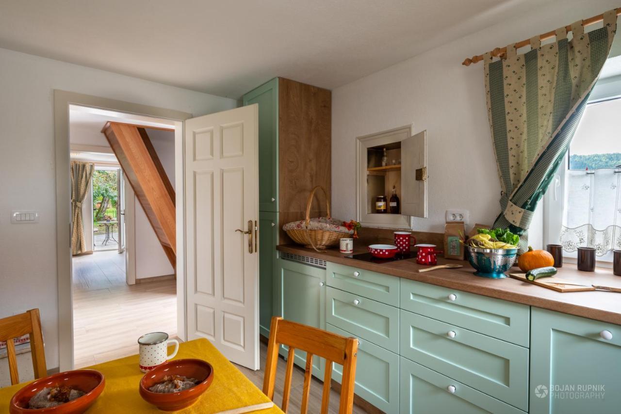 Cherry House - Cosy House - Ideal For Bear Watching, In The Neighborhood Of The Medieval Sneznik Castle Stari Trg pri Lozu ภายนอก รูปภาพ