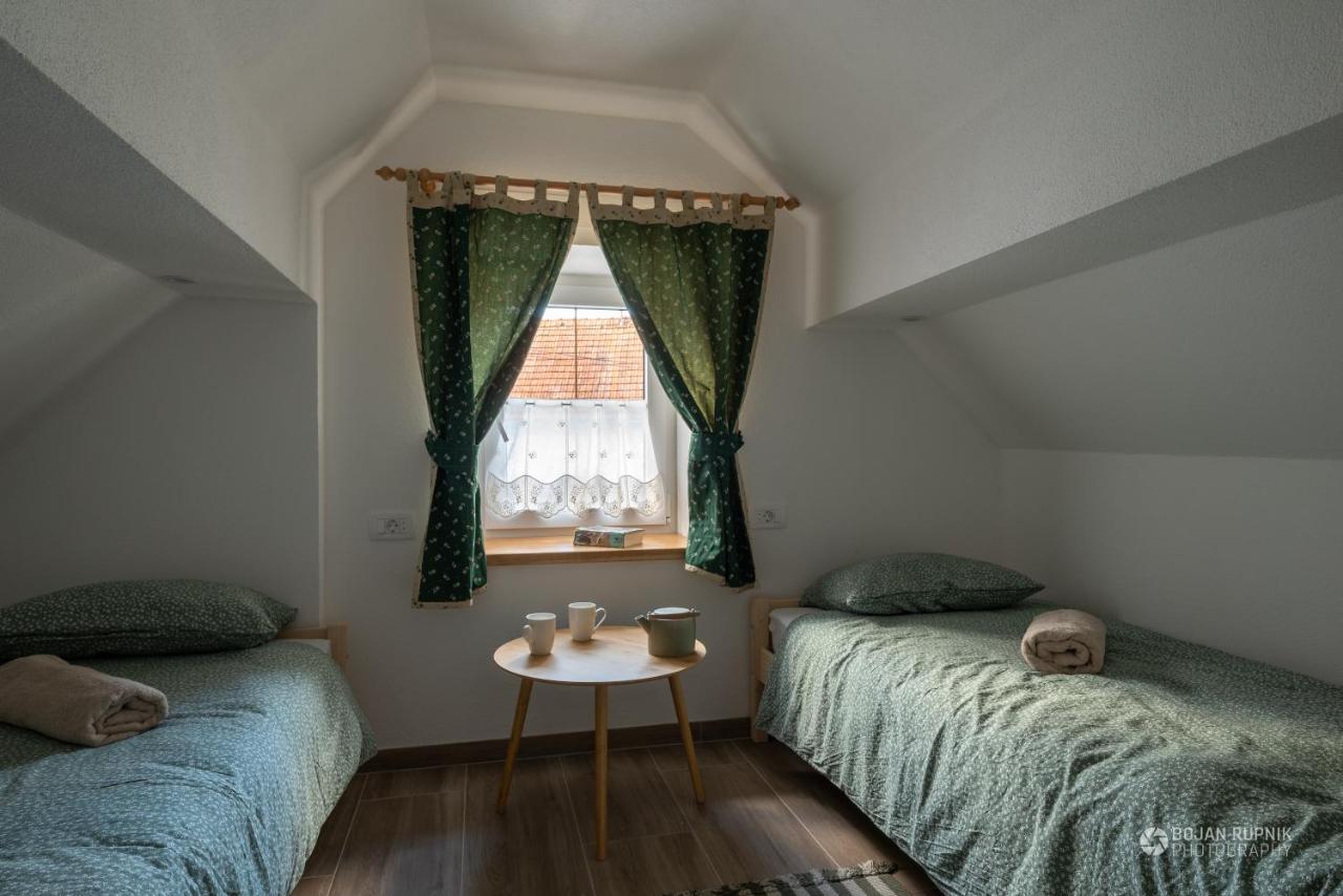 Cherry House - Cosy House - Ideal For Bear Watching, In The Neighborhood Of The Medieval Sneznik Castle Stari Trg pri Lozu ภายนอก รูปภาพ