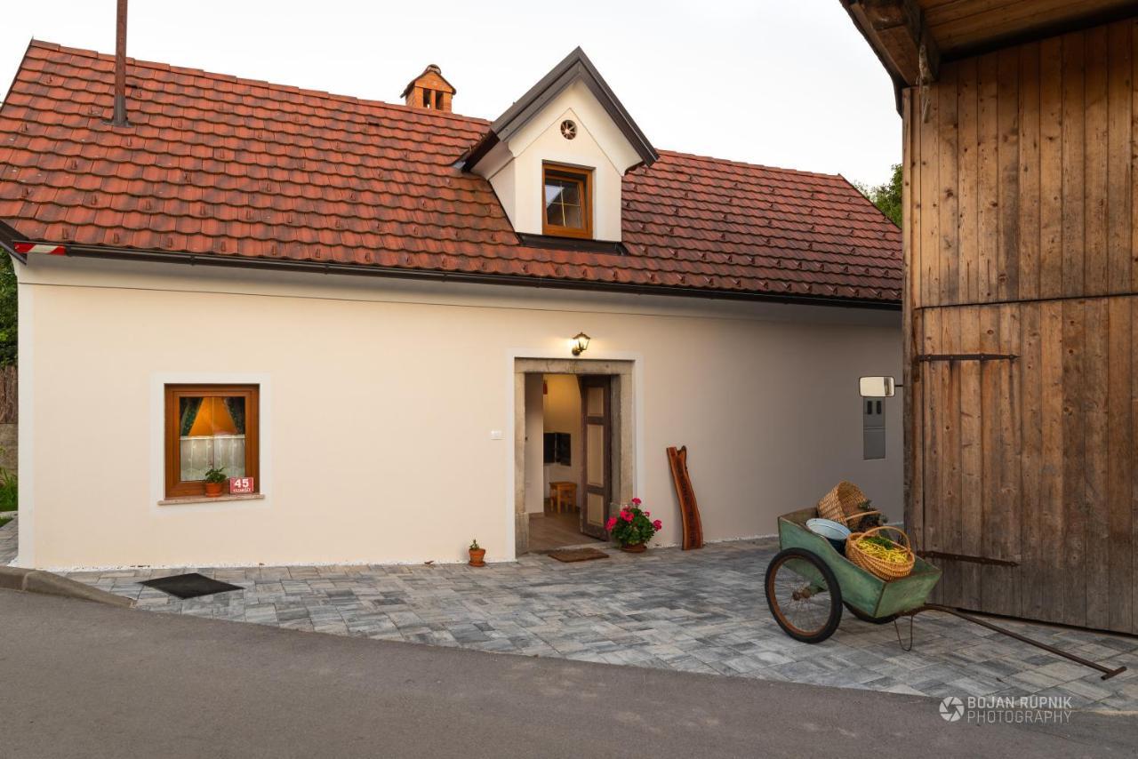 Cherry House - Cosy House - Ideal For Bear Watching, In The Neighborhood Of The Medieval Sneznik Castle Stari Trg pri Lozu ภายนอก รูปภาพ