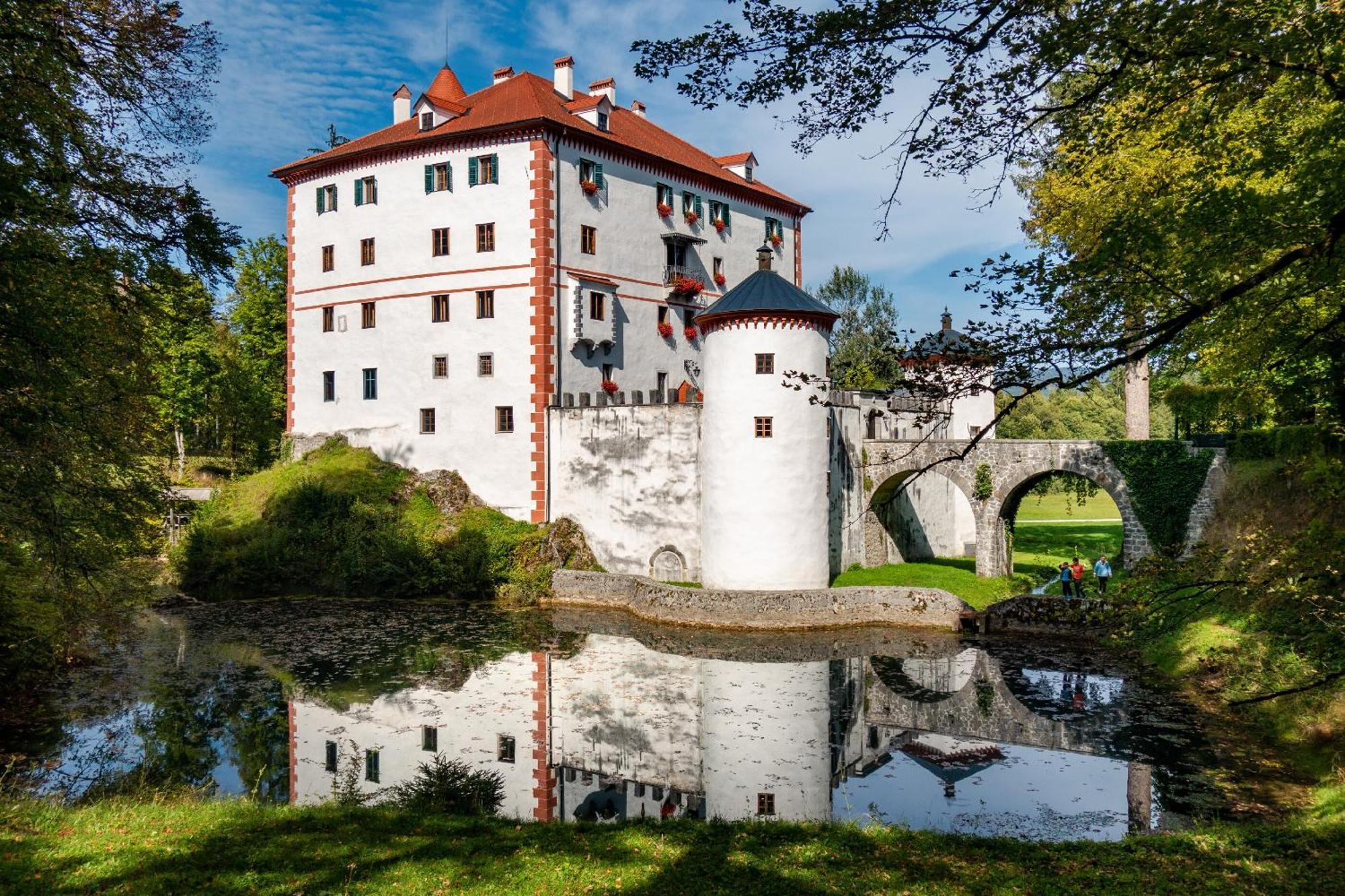 Cherry House - Cosy House - Ideal For Bear Watching, In The Neighborhood Of The Medieval Sneznik Castle Stari Trg pri Lozu ภายนอก รูปภาพ